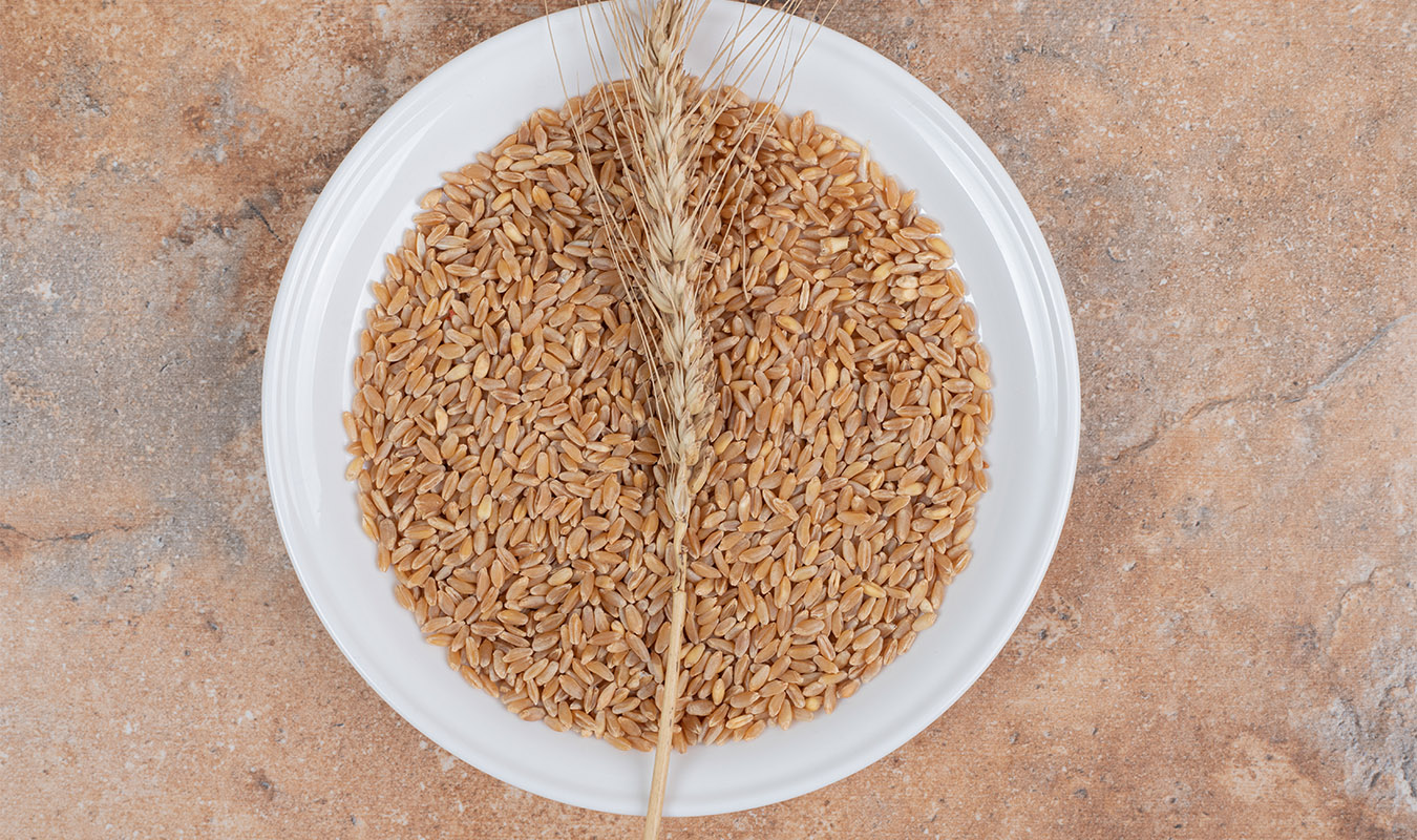 Siyez Buğdayının Modern Mutfağa Uyumu