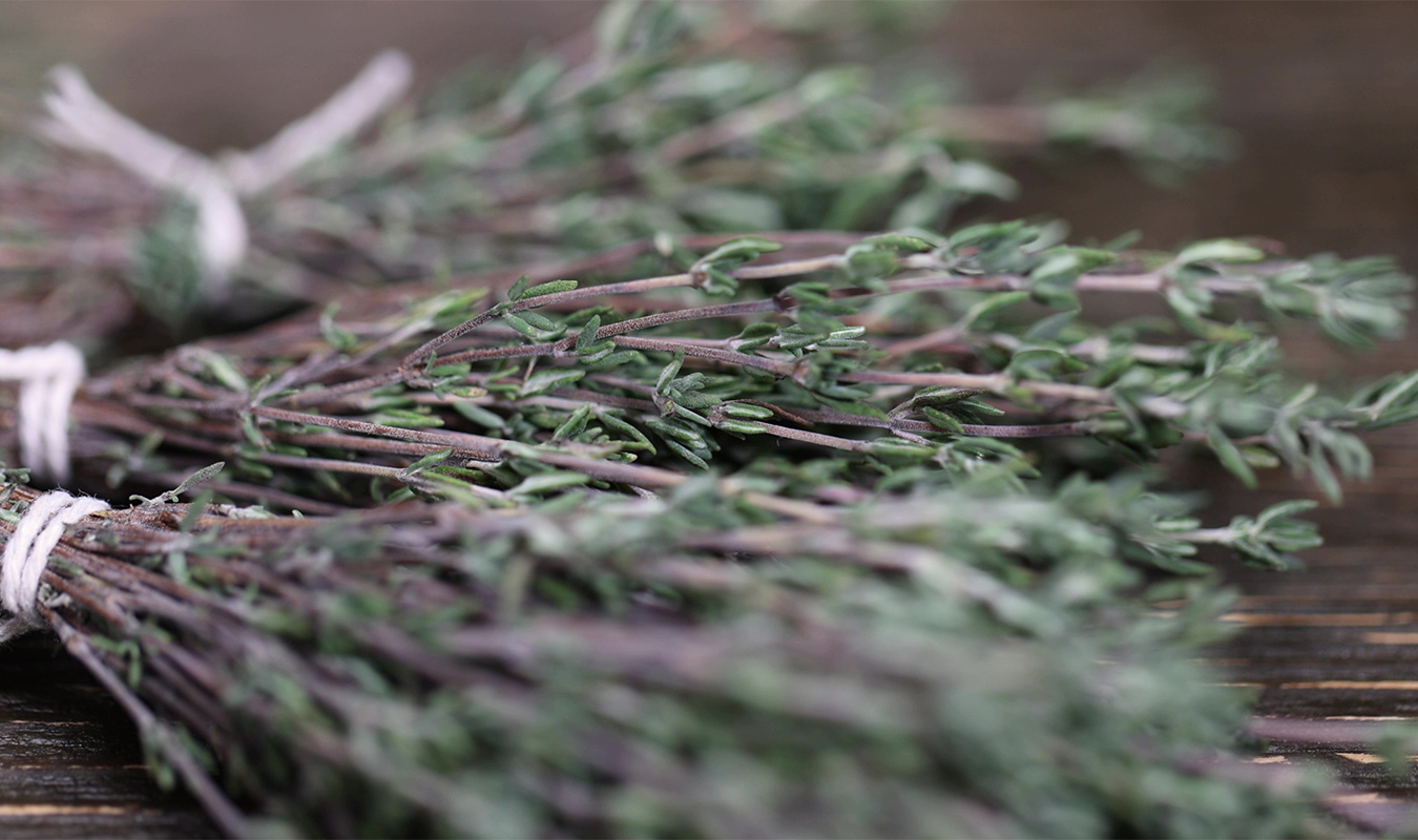 Mevsime Göre Bitkisel Çay Seçimi